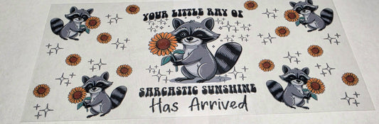 #59 Racoon